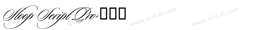 Sloop Script Pro字体转换